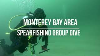 Immerse Yourself: Monterey Bay Spearfishing Group Dive Oct 2024