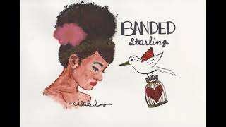 Banded Starling - Isabel [Official Audio]