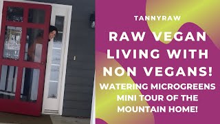 Raw vegan living with non vegans!? Watering microgreens. Mini tour of the mountain home!