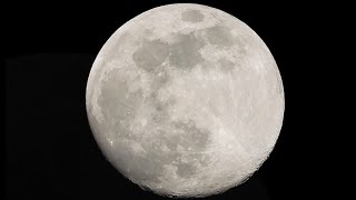 Waxing Gibbous Moon at 95% | Coyotes Heard in the Distance