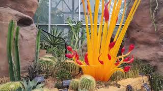 Purifying Power of Plants and Yap