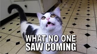 Talking Kitty Cat 47 - What No One Saw Coming!