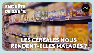 Raffinées ou complètes, avec ou sans gluten : quelles céréales pour préserver sa santé ?