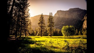 12 hour peacefull meditation music, calm music, spa music, Sound Therapy LIVE.
