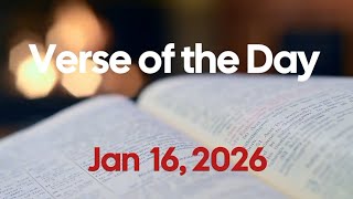 Can We Prevent Ourselves from Hitting Rock Bottom? | Verse of the Day