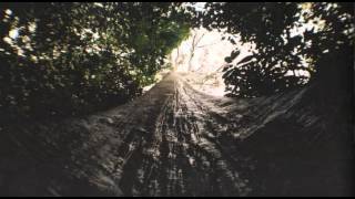 Stray Theories - A Distant Light