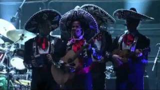 Phish NYE 2010 Behind the Scenes - New Year's Meatstick