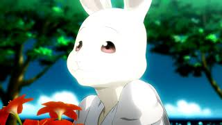 [AMV] Feral Hearts (Kerli x Beastars)