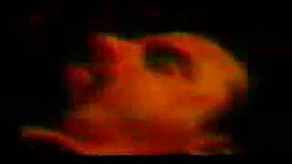 The Azoic - Pure Pleasure