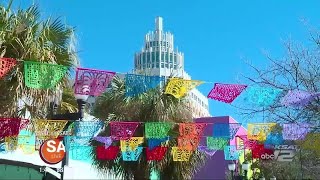 Celebrate Dental on SA Live