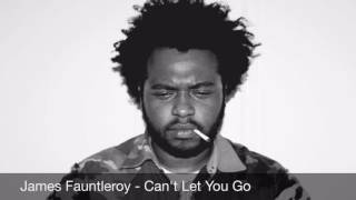 James Fauntleroy - Can't Let You Go