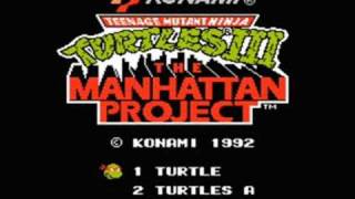 Teenage Mutant Ninja Turtles 3 - Stage 3  (Nintendo)