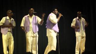 2011 Tender Love by the Force MD's