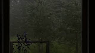 Soothing Rain to Sleep Instantly With Heavy Rain Sounds, Beat Insomnia @ BOOMI JOVIAL CINEMA