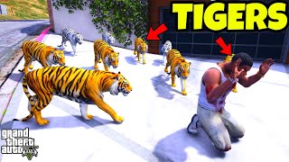 Franklin Arrested By Bengal Tigers in GTA 5 