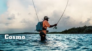 YETI Presents: Cosmo