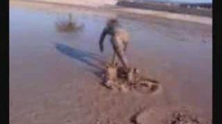 illegal, extreeme, skimboarding, oasis cover