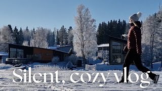 Slow living in Finland | Daily vlog (-15°C winter day, bedroom reset, cooking)