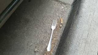 What Tha Fork - Part 1 #WTF #What #Tha #Fork #Comedy