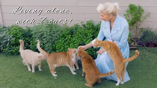 Living Alone in the Countryside with 7 Cats | Slow Life in Greece