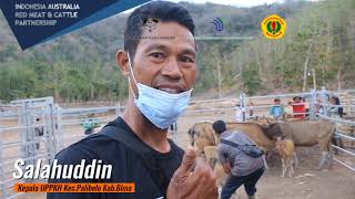 Pemanfaatan Portabel Cattle Yard oleh Tim UP3KH Peternakan Kecamatan Palibelo, Kabupaten Bima.