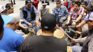 Young Grey Horse - Kyi-Yo 2013 (minute video)