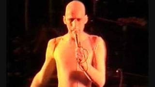 classix nouveaux..i will survive live video.