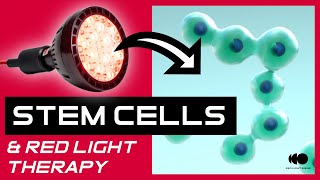 RED LIGHT THERAPY Boosts Stem Cells in Just 30 Days!