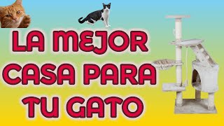 🏡 Top 5 mejores CASAS para GATOS 🐈