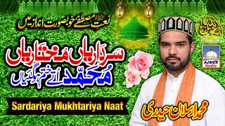 Sardariyan Mukhtariyan | Arslan Haideri | New Special TikTok Trending Naat 2025 #naat #islamicvideo