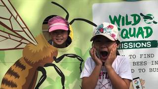 A Day At Taronga Zoo.