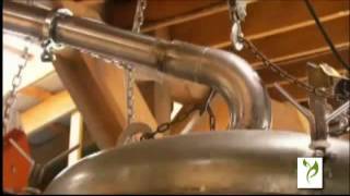 Tagetes minuta Essential Oil Supplier