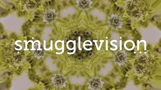SmuggleVision - The First Online TV Channel Documenting Oregon's Historic New Pot Era.
