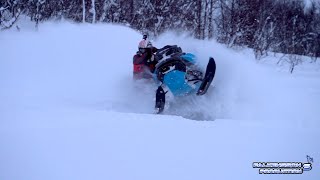 A Normal Sled Weekend For Us