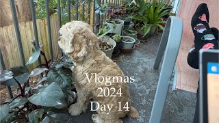 Productivity & Pain | Colored Christmas Light Debate | Vlogmas 2024 Day 14