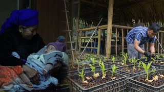 Chúc came to work on the farm. Yến's mother brought her granddaughter to help with the housework.