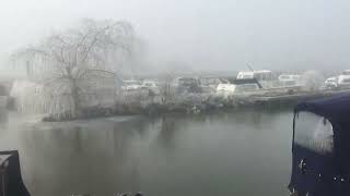 A freezing fog day at the Fish & Duck, frost dripping from the trees creating a wonderland. iPhone.