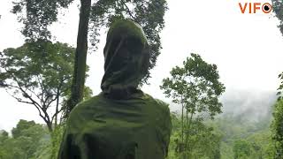 Nyungwe National Park