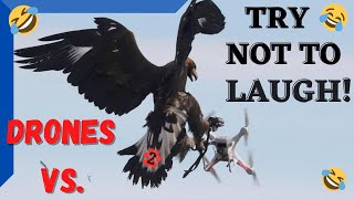 Funny! Drone Vs Animals, Humans & Water - Try not to laugh!
