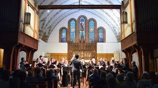 Hamilton Choir Project LIVE | Water Night - Eric Whitacre