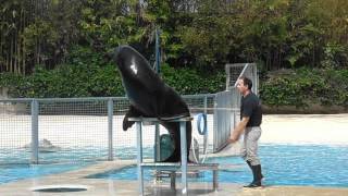 Au Zoo De Beauval 19/06/2012