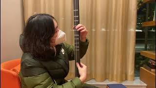 Video demonstration 1