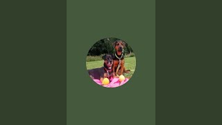 Pepper, Peanut and Friends is live