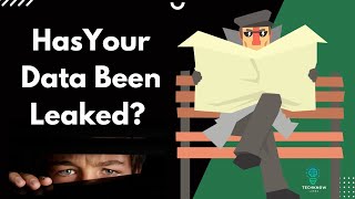 Find out if your personal information has ever leaked!