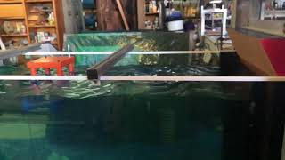 TLP Regular waves at a zero surge condition - Micro Oceans