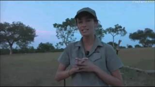 Safari Live :  Herbie : A Study by Jamie Patterson   April 08, 2017