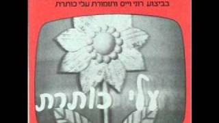 עלי כותרת - היי עמי פרנקל