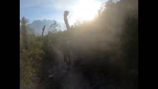 la huasteca