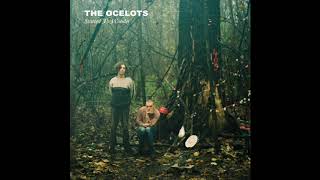 The Ocelots - The. Switch (Lyrics in Description)