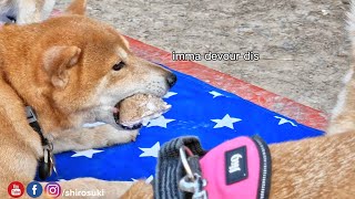 Suki's 8th birthday bash - Part 2